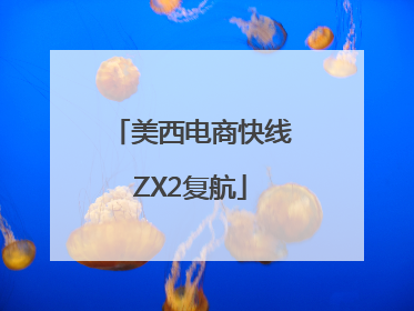 美西电商快线ZX2复航