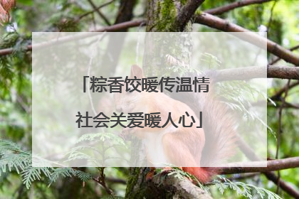 粽香饺暖传温情 社会关爱暖人心