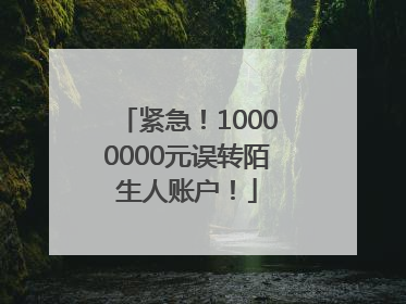 紧急！10000000元误转陌生人账户！