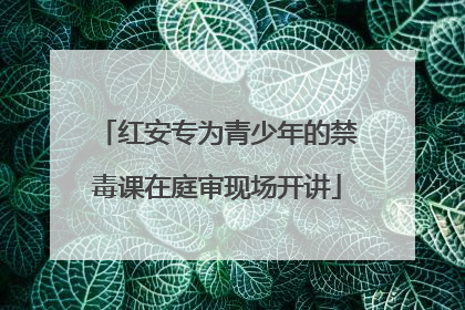 红安专为青少年的禁毒课在庭审现场开讲
