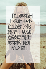 红观株洲丨株洲中小企业数字化转型：从试点破局到生态重构的进阶之路