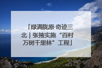 绿满陇原·奇迹三北｜张掖实施“百村万树千里林”工程