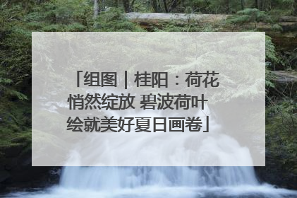 组图｜桂阳：荷花悄然绽放 碧波荷叶绘就美好夏日画卷