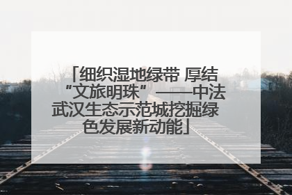 细织湿地绿带 厚结“文旅明珠”——中法武汉生态示范城挖掘绿色发展新动能