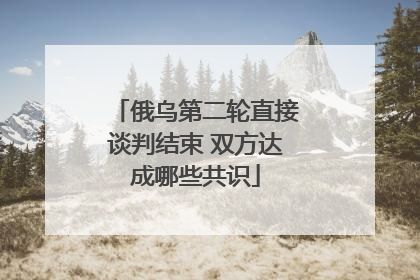 俄乌第二轮直接谈判结束 双方达成哪些共识