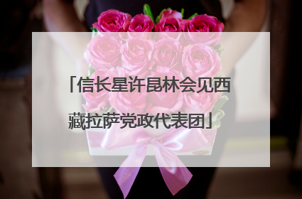 信长星许昆林会见西藏拉萨党政代表团