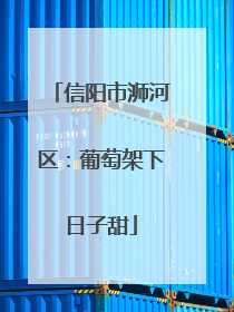 信阳市浉河区：葡萄架下日子甜