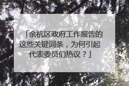 余杭区政府工作报告的这些关键词条，为何引起代表委员们热议？