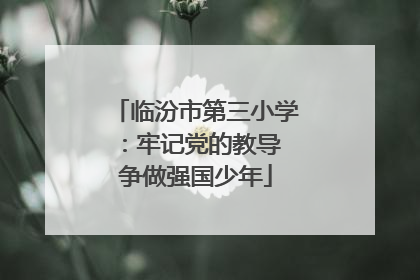 临汾市第三小学：牢记党的教导 争做强国少年