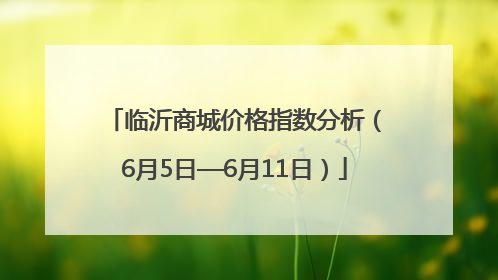 临沂商城价格指数分析（6月5日—6月11日）