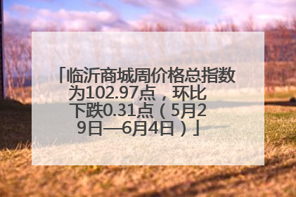 临沂商城周价格总指数为102.97点，环比下跌0.31点（5月29日—6月4日）