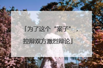 为了这个“案子”，控辩双方激烈辩论