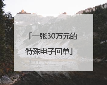 一张30万元的特殊电子回单