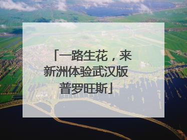 一路生花，来新洲体验武汉版普罗旺斯