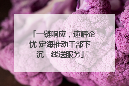 一链响应，速解企忧 定海推动干部下沉一线送服务