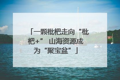 一颗枇杷走向“枇杷+” 山海资源成为“聚宝盆”