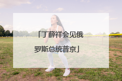 丁薛祥会见俄罗斯总统普京