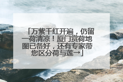 万紫千红开遍，仍留一荷清凉！厦门赏荷地图已备好，还有专家带您区分荷与莲→