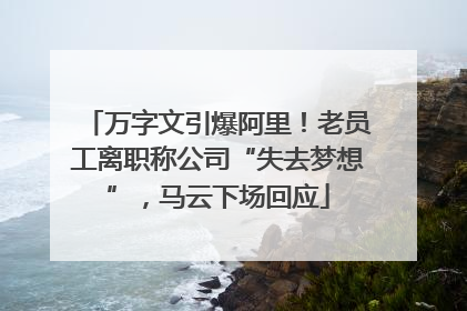 万字文引爆阿里！老员工离职称公司“失去梦想”，马云下场回应
