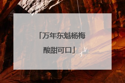 万年东魁杨梅 酸甜可口