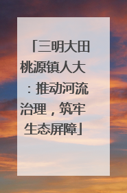 三明大田桃源镇人大：推动河流治理，筑牢生态屏障