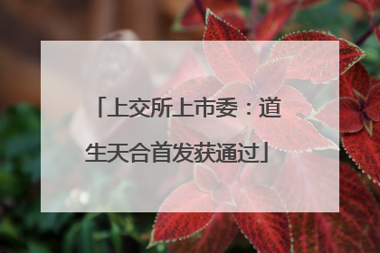 上交所上市委：道生天合首发获通过