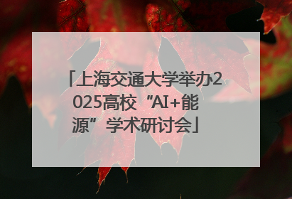 上海交通大学举办2025高校“AI+能源”学术研讨会