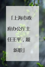 上海市政府办公厅主任王平，履新职