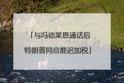 与冯德莱恩通话后 特朗普同意推迟加税