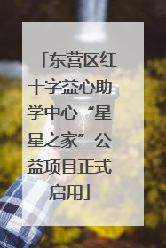 东营区红十字益心助学中心“星星之家”公益项目正式启用