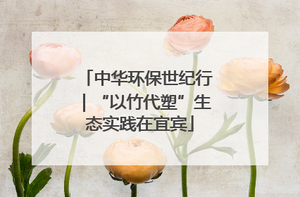 中华环保世纪行｜“以竹代塑”生态实践在宜宾