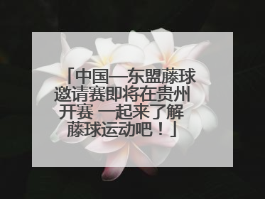 中国—东盟藤球邀请赛即将在贵州开赛 一起来了解藤球运动吧！