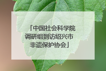 中国社会科学院调研组到访绍兴市非遗保护协会