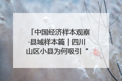 中国经济样本观察·县域样本篇｜四川山区小县为何吸引“村播”扎堆？