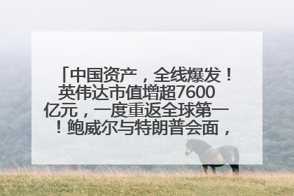 中国资产，全线爆发！英伟达市值增超7600亿元，一度重返全球第一！鲍威尔与特朗普会面，他们聊了什么？