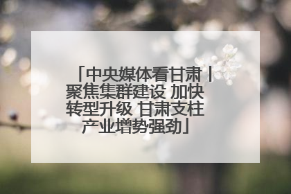 中央媒体看甘肃丨聚焦集群建设 加快转型升级 甘肃支柱产业增势强劲