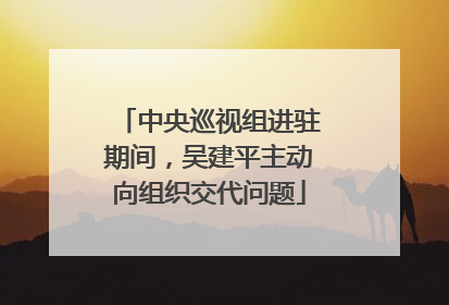 中央巡视组进驻期间，吴建平主动向组织交代问题