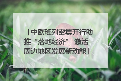 中欧班列密集开行助推“落地经济” 激活周边地区发展新动能