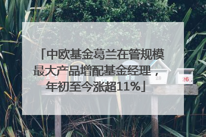 中欧基金葛兰在管规模最大产品增配基金经理，年初至今涨超11%