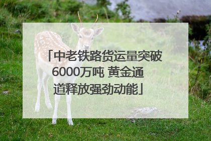 中老铁路货运量突破6000万吨 黄金通道释放强劲动能