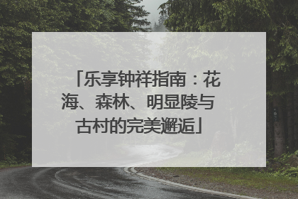 乐享钟祥指南：花海、森林、明显陵与古村的完美邂逅