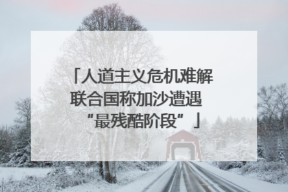 人道主义危机难解 联合国称加沙遭遇“最残酷阶段”
