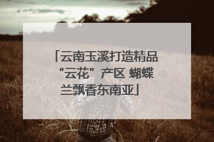 云南玉溪打造精品“云花”产区 蝴蝶兰飘香东南亚