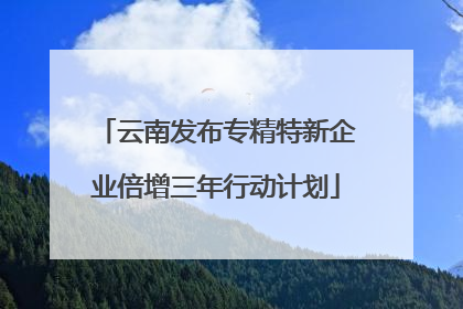 云南发布专精特新企业倍增三年行动计划