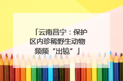 云南昌宁：保护区内珍稀野生动物频频“出镜”
