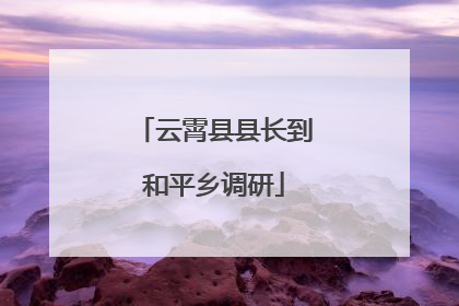 云霄县县长到和平乡调研