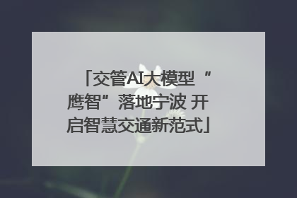 交管AI大模型“鹰智”落地宁波 开启智慧交通新范式