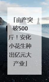 亩产突破500斤！安化小花生种出亿元大产业