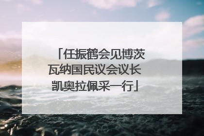 任振鹤会见博茨瓦纳国民议会议长凯奥拉佩采一行