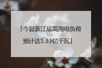 今夏浙江最高用电负荷预计达1.33亿千瓦